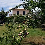 Damaskis Kassiopi Studios