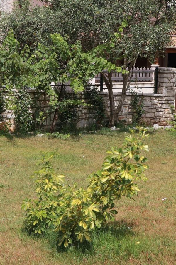 Damaskis * Kassiopi