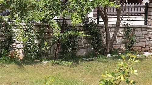 Damaskis Apartament *